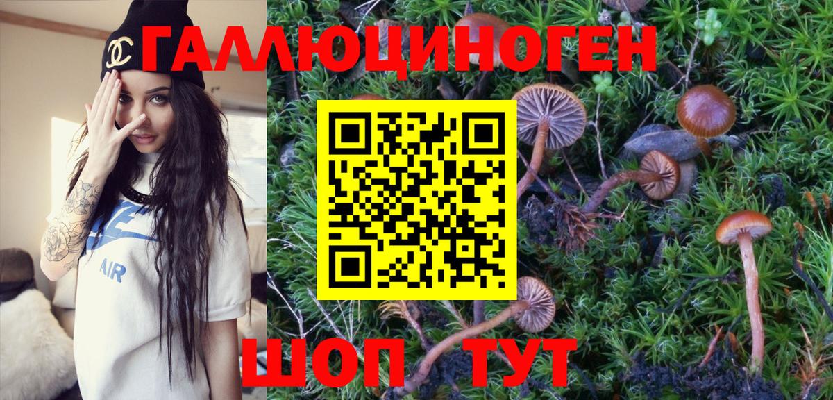 Галлюциногенные грибы Psilocybine cubensis Феодосия
