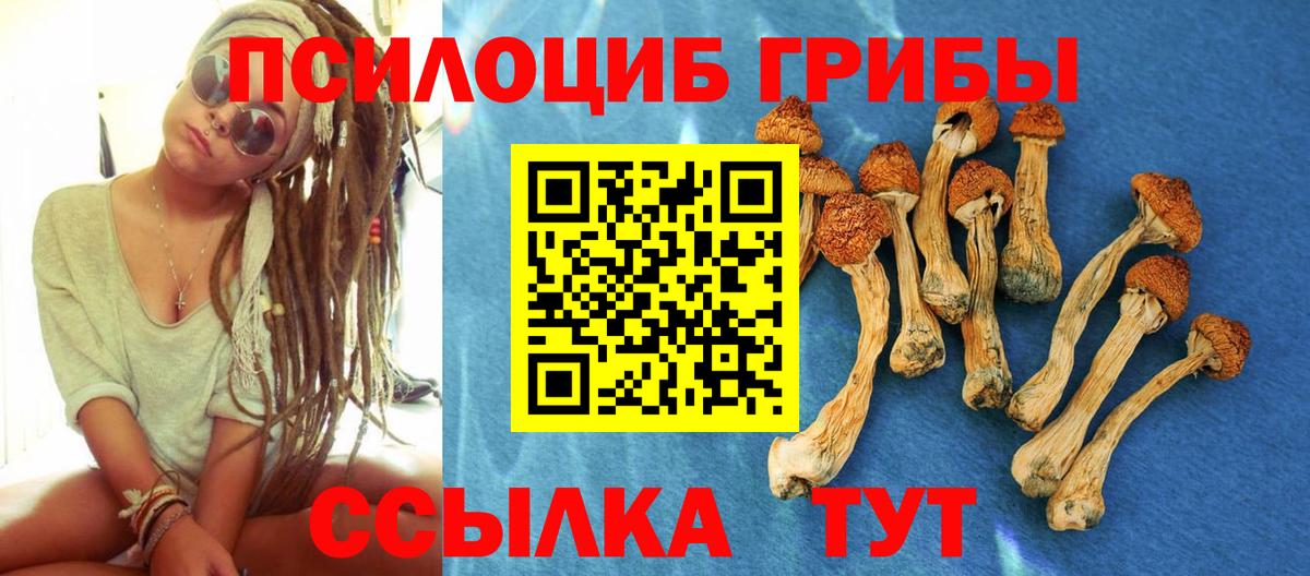 Галлюциногенные грибы Magic Shrooms  Псилоцибиновые грибы Psilocybe  Феодосия  Вход с VPN 
